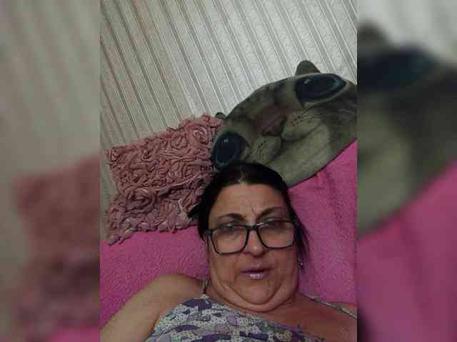 milisenta webcam