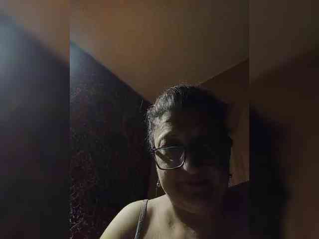 milisenta webcam