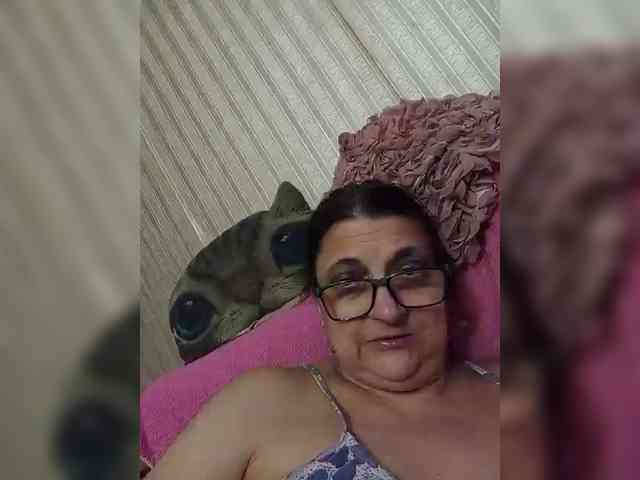 milisenta webcam