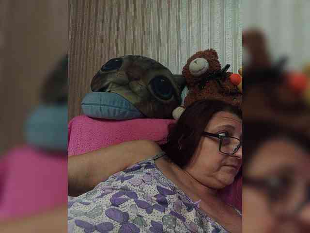 milisenta webcam