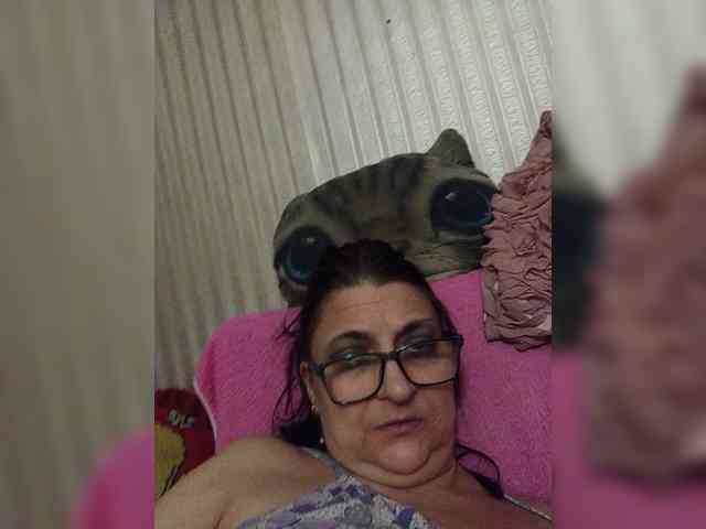 milisenta webcam