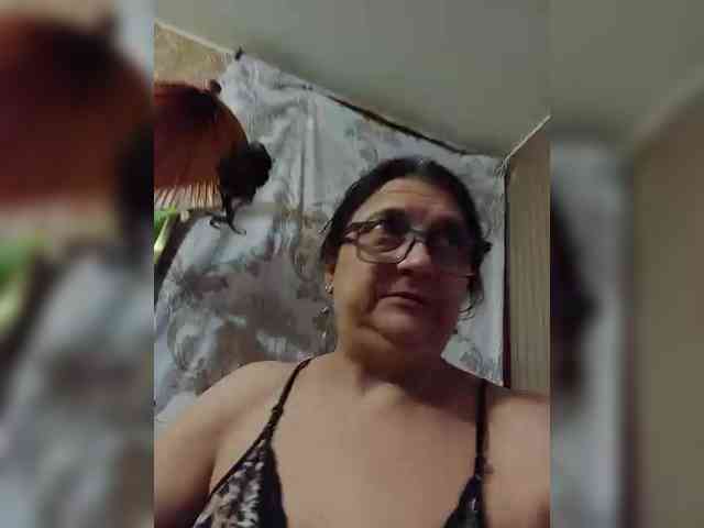 milisenta webcam