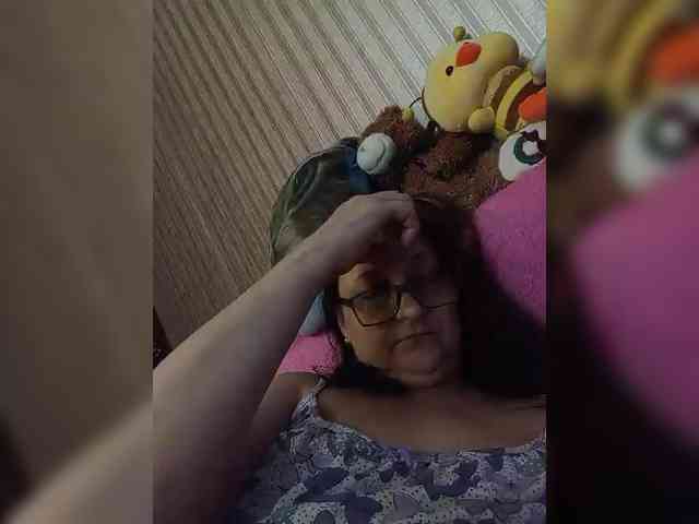 milisenta webcam