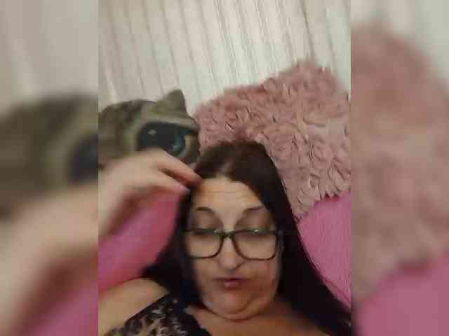 milisenta webcam