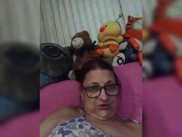 milisenta webcam