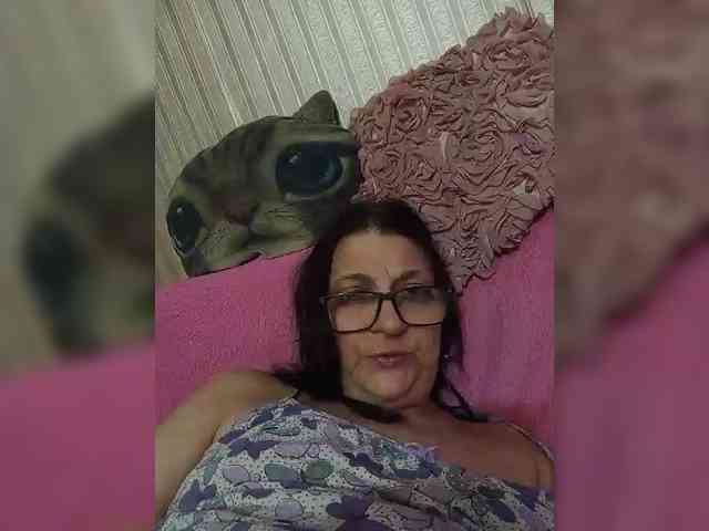 milisenta webcam