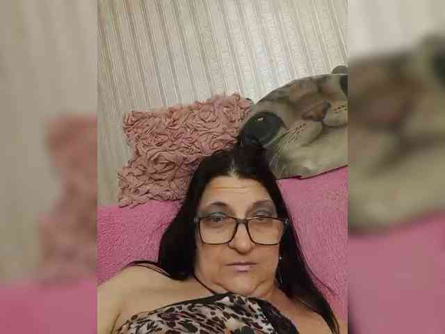 milisenta webcam