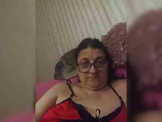 milisenta webcam