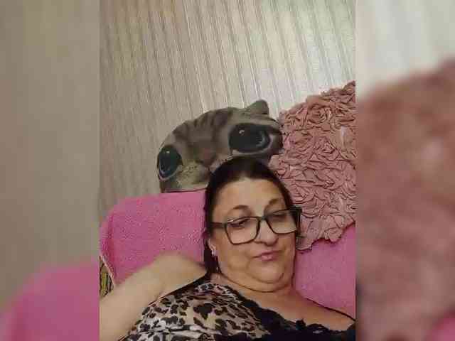 milisenta webcam