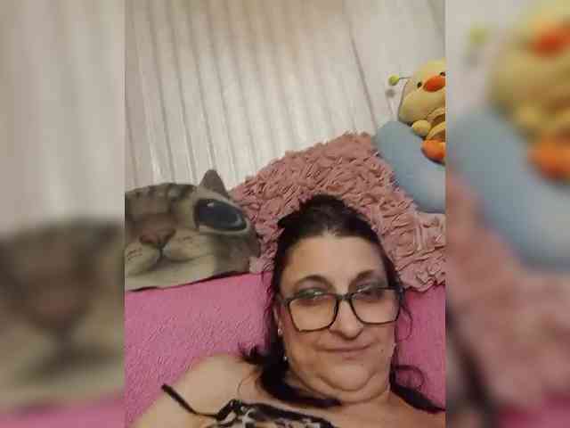 milisenta webcam