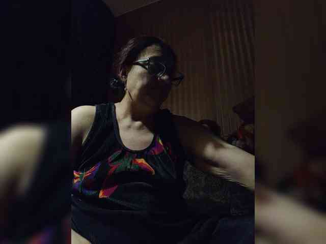 milisenta webcam