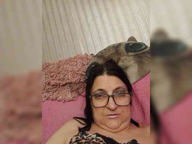 milisenta webcam