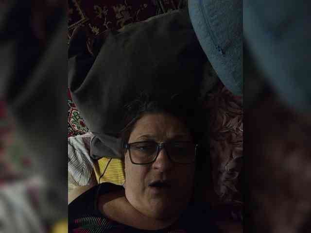 milisenta webcam