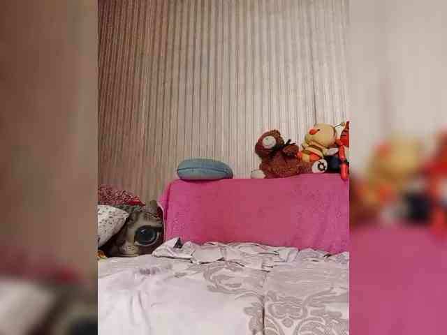 milisenta webcam
