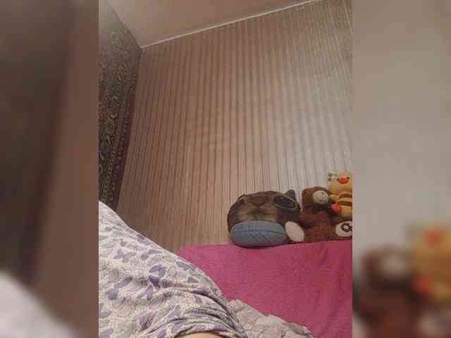milisenta webcam
