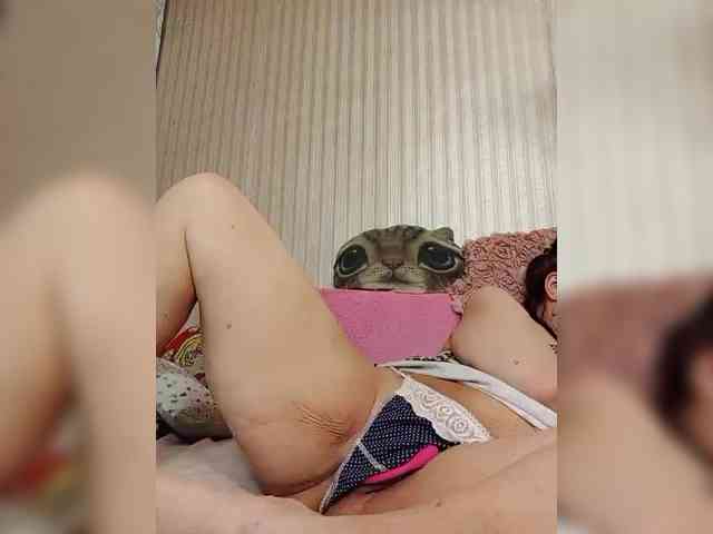 milisenta webcam
