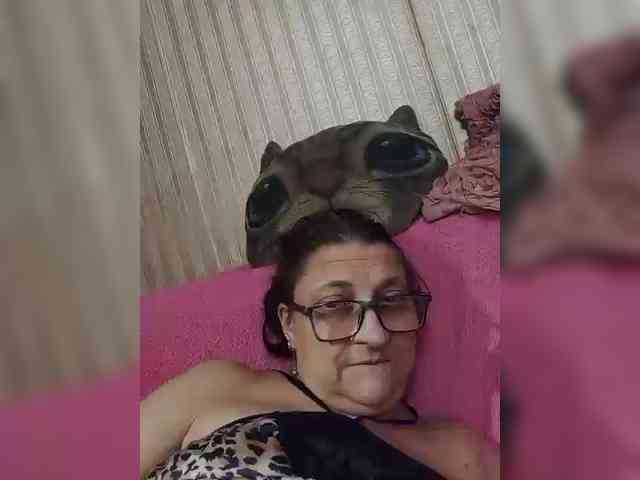 milisenta webcam