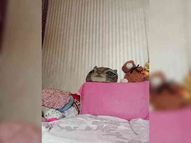 milisenta webcam