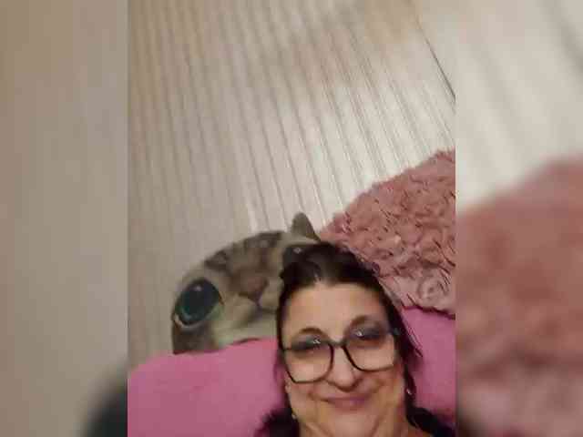 milisenta webcam