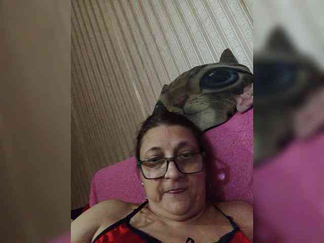milisenta webcam
