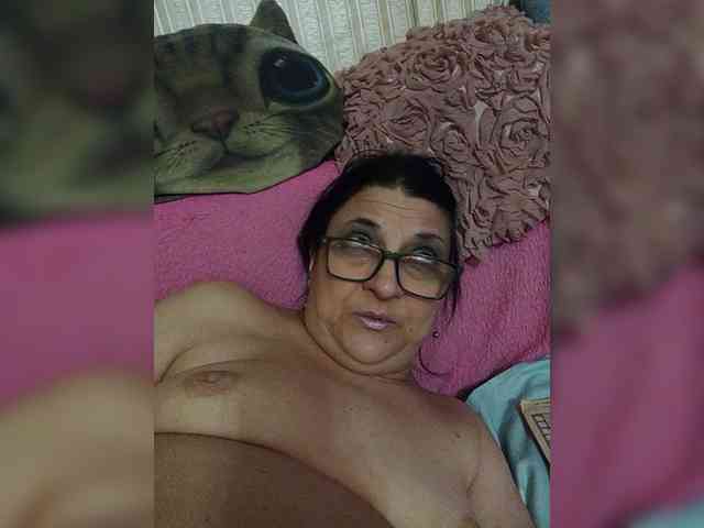 milisenta webcam