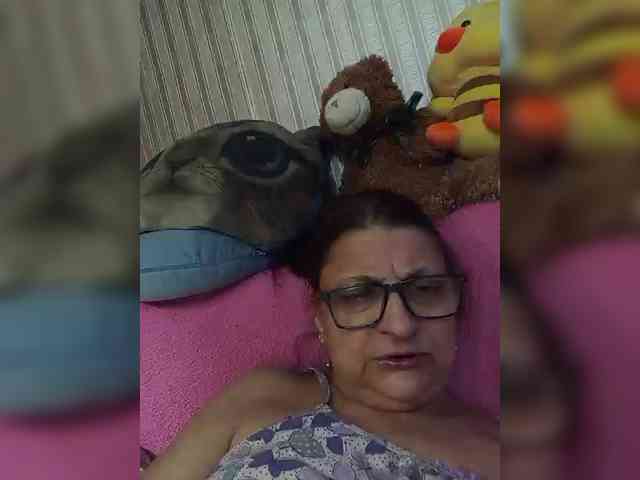 milisenta webcam