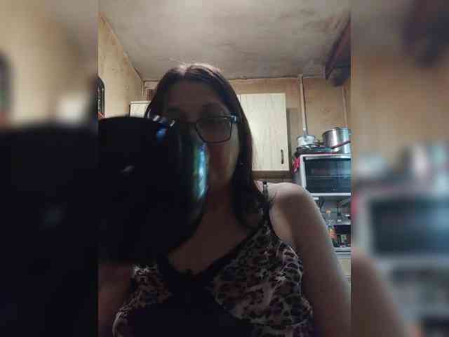 milisenta webcam