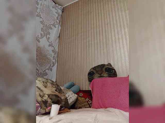 milisenta webcam