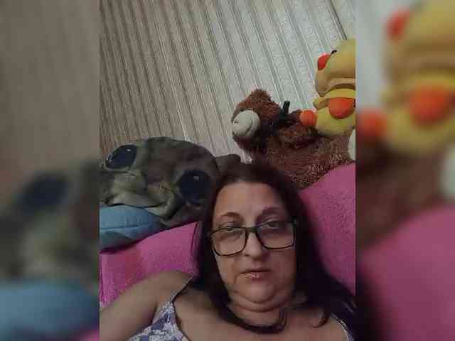 milisenta webcam