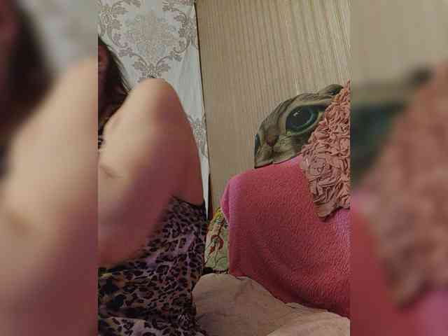milisenta webcam
