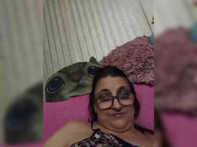 milisenta webcam