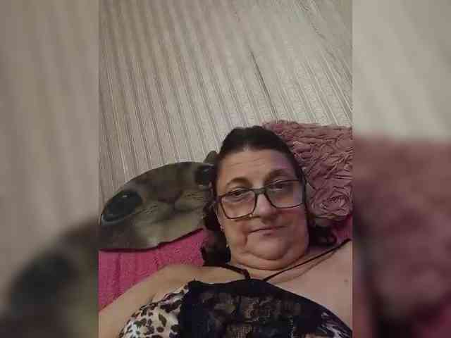 milisenta webcam