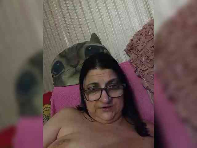 milisenta webcam