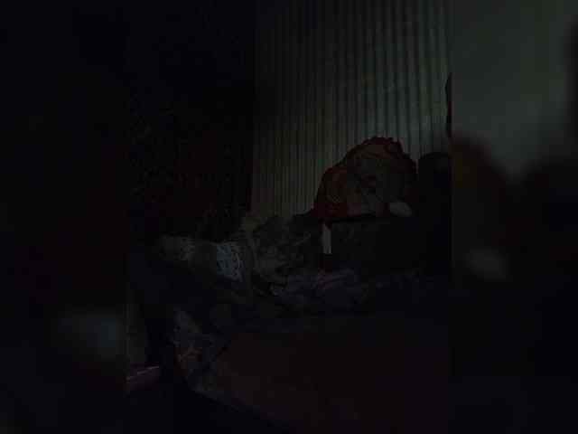 milisenta webcam