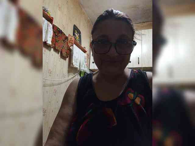 milisenta webcam