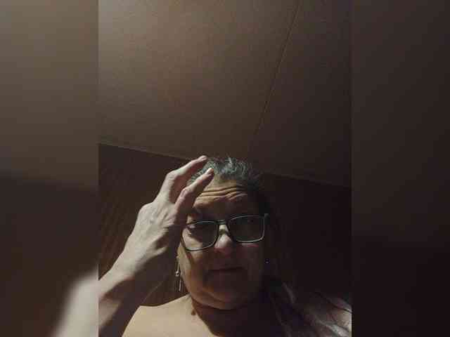 milisenta webcam