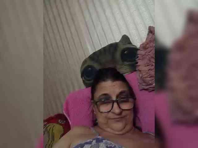 milisenta webcam