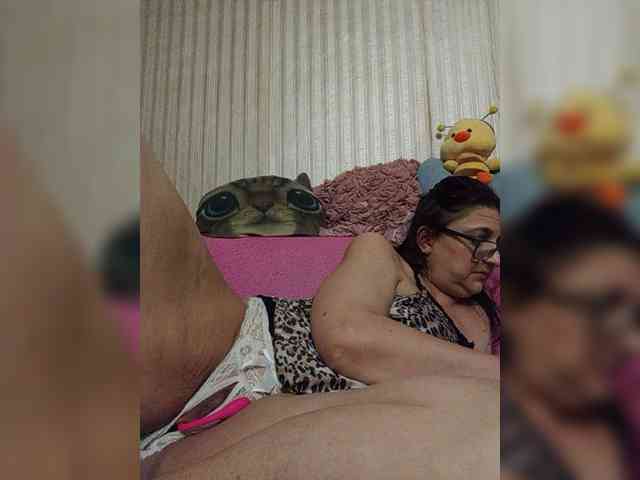 milisenta webcam