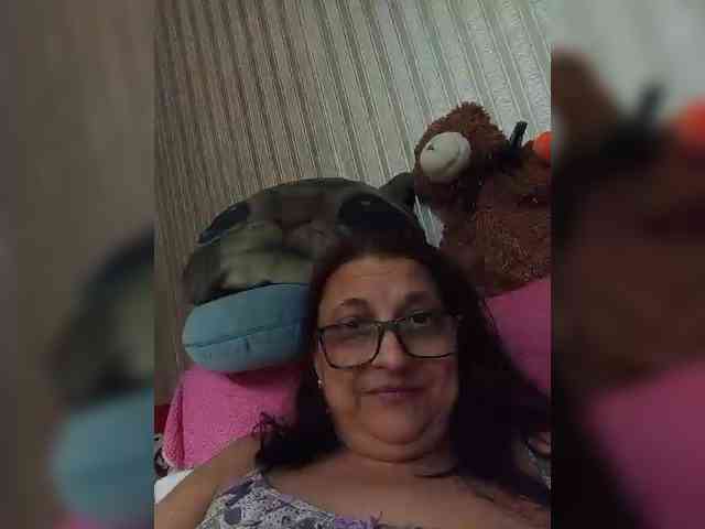 milisenta webcam