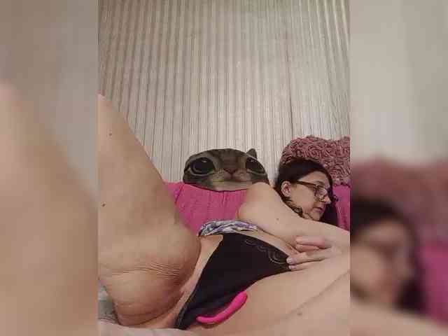 milisenta webcam