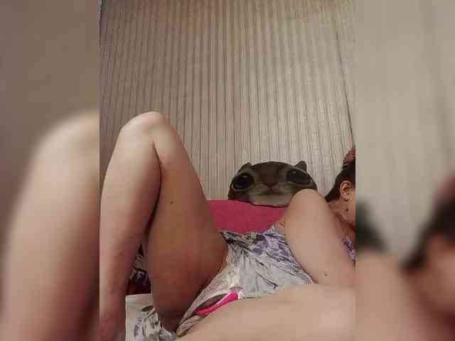 milisenta webcam