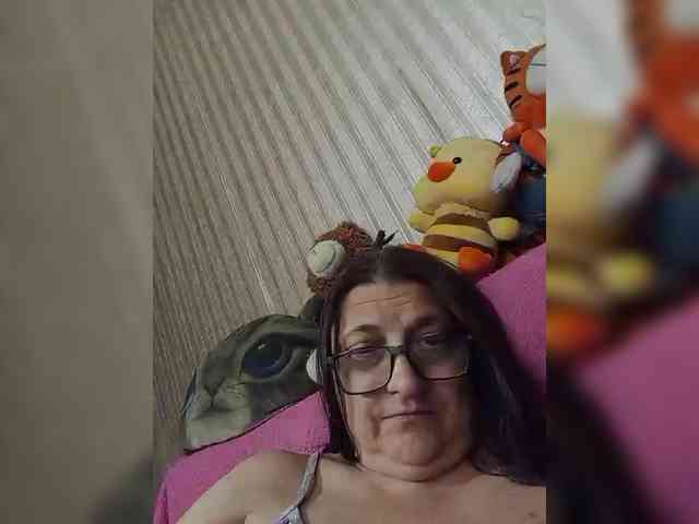 milisenta webcam