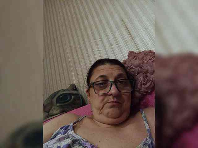 milisenta webcam