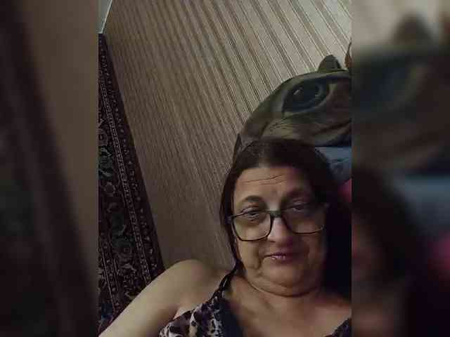 milisenta webcam