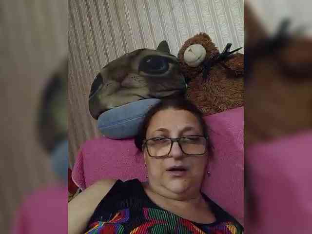 milisenta webcam