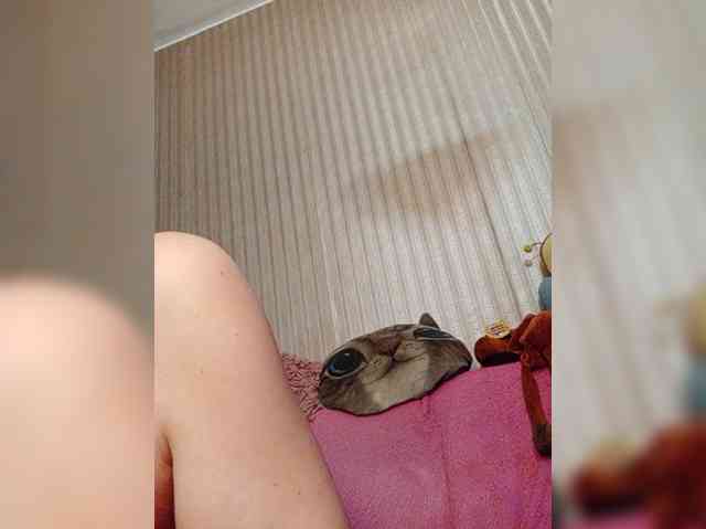 milisenta webcam