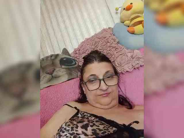 milisenta webcam