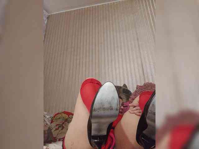 milisenta webcam
