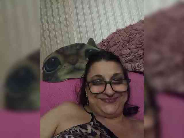 milisenta webcam