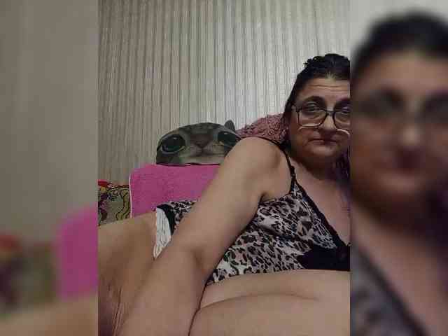 milisenta webcam